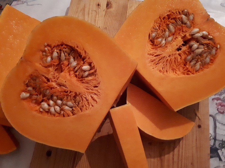 Sütőtök